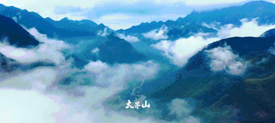 逃出奶油苹果屋