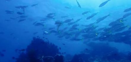 报告:去年旅游业对经济贡献估计为3.3万亿美元