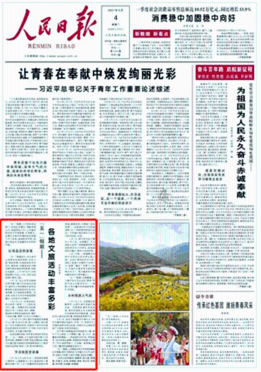 如何评价《云水谣》这部电影？